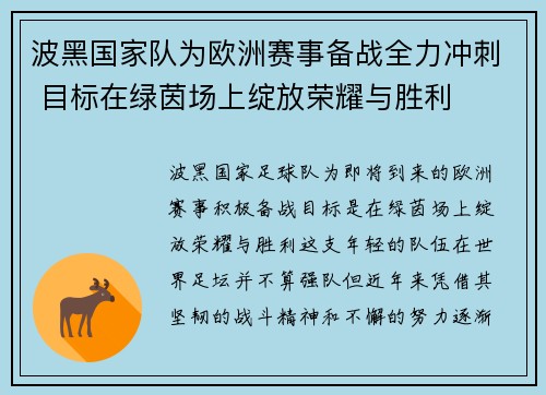 波黑国家队为欧洲赛事备战全力冲刺 目标在绿茵场上绽放荣耀与胜利