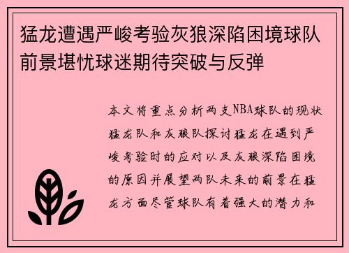 猛龙遭遇严峻考验灰狼深陷困境球队前景堪忧球迷期待突破与反弹